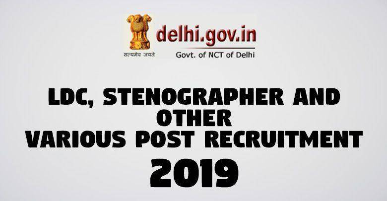 LDC Stenographer and Other Various Post Recruitment -