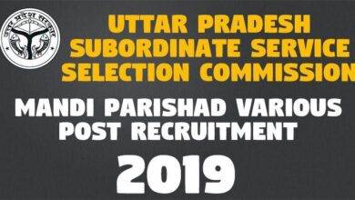 Mandi Parishad Various Post Recruitment -