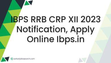 IBPS RRB CRP XII 2023 Notification, Apply Online ibps.in
