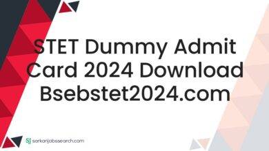STET Dummy Admit Card 2024 Download bsebstet2024.com