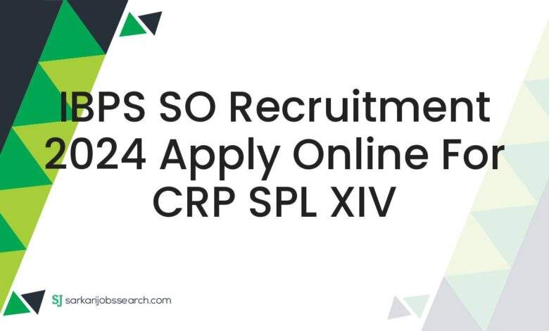 IBPS SO Recruitment 2024 Apply Online For CRP SPL XIV