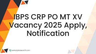 IBPS CRP PO MT XV Vacancy 2025 Apply, Notification