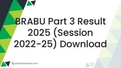 BRABU Part 3 Result 2025 (Session 2022-25) Download